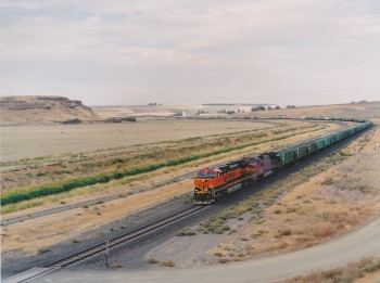 Mesa WA  1999 (published in Some Trains In America)